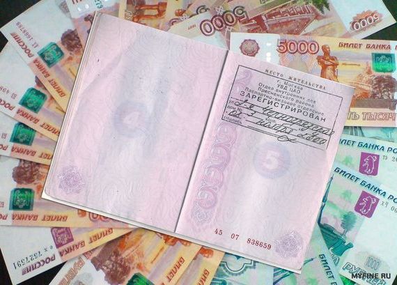прописка в Павлово